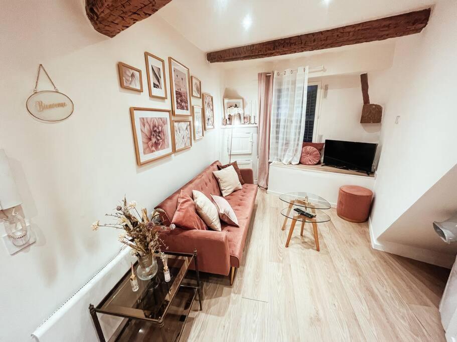 Coeur De Appartement Grasse